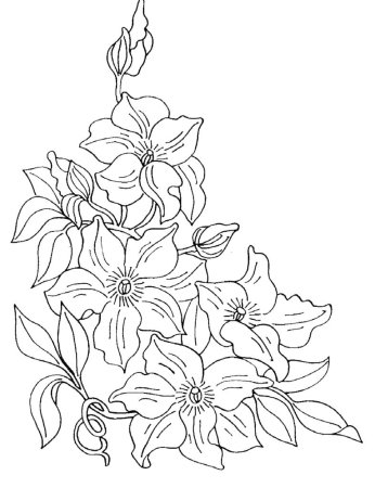 Трафареты для витражной росписи по стеклу