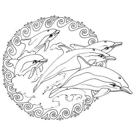 Раскраска "дельфины"