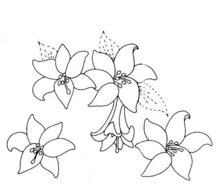 Трафареты цветов для росписи по стеклу
