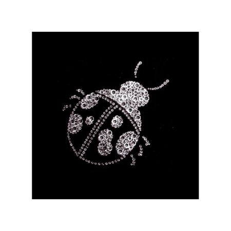 Аппликация из страз на одежду