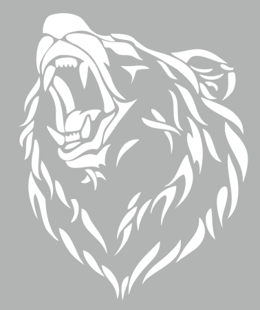 Голова медведя