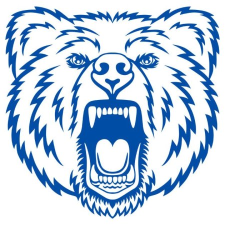 Мордочка мишки