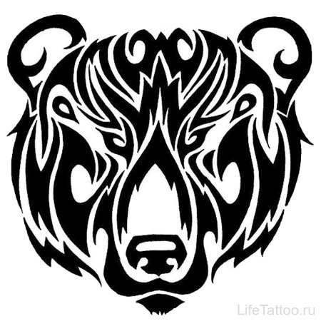 Очертания морды медведя