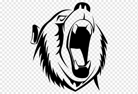 Мордочка медведя