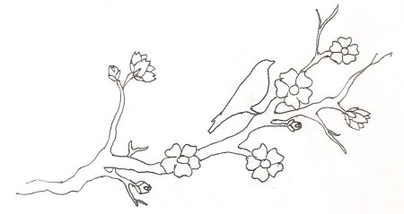 Ветка Сакуры раскраска для детей