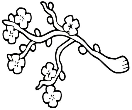 Веточка Сакуры раскраска