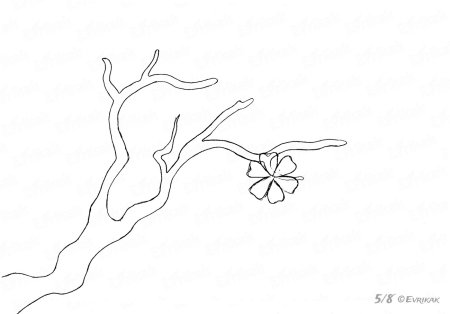 Веточка Сакуры трафарет