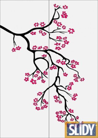 Цветок Сакуры рисунок