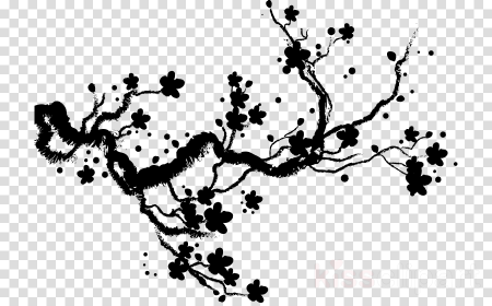 Цветок яблони раскраска