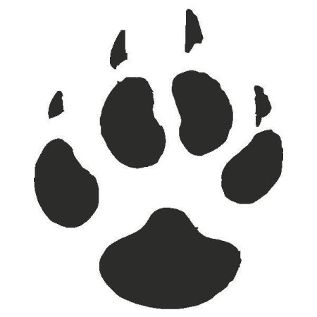 Отпечатки лап разных животных