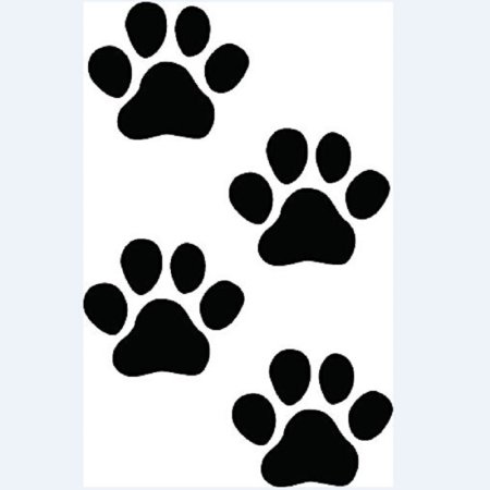 Лапки животных