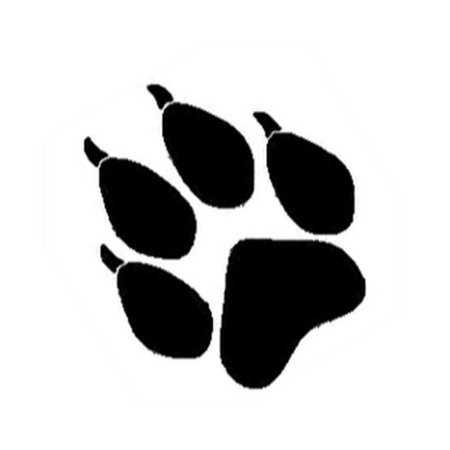 Лисья лапа отпечаток