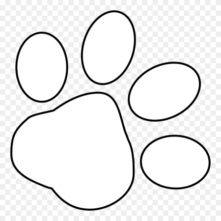 Лапки черно белые