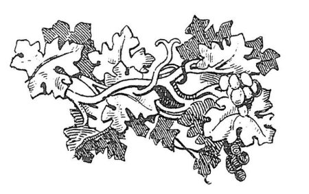 Охотничьи узоры и орнаменты