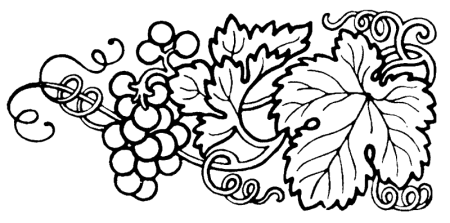 Виноградная лоза DXF