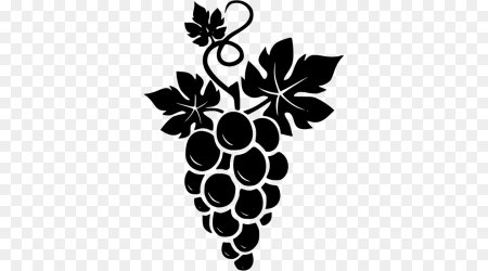 Гроздь винограда вектор