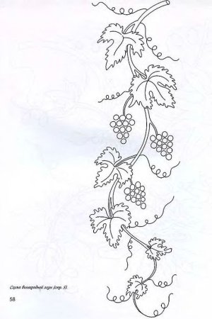 Виноградная лоза рисунок