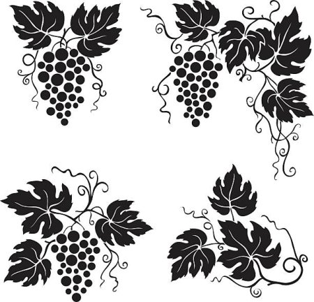 Виноградная лоза паттерн