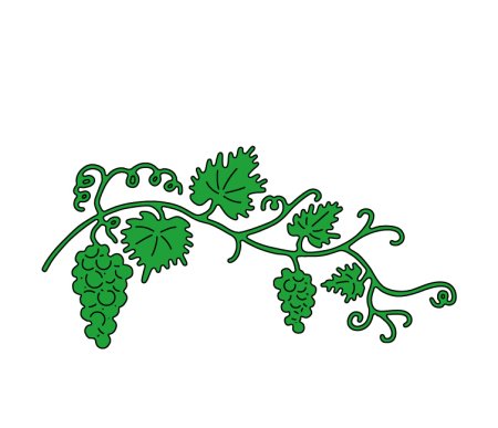 Виноградная лоза орнамент