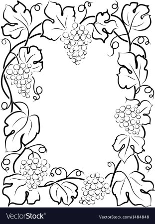 Виноградная лоза раскраска
