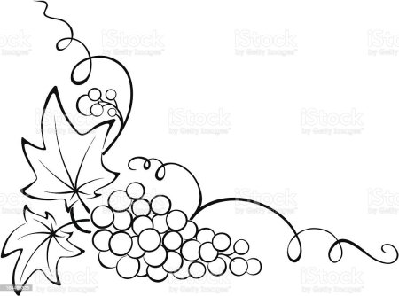 Орнамент с виноградной лозой контур