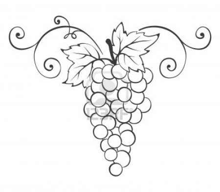 Виноград для выжигания