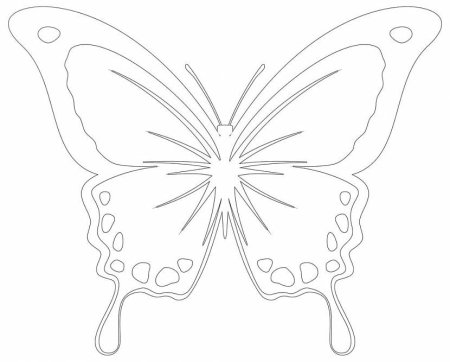 Бабочка шаблон для вырезания