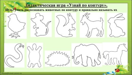 Узнай по контуру животных