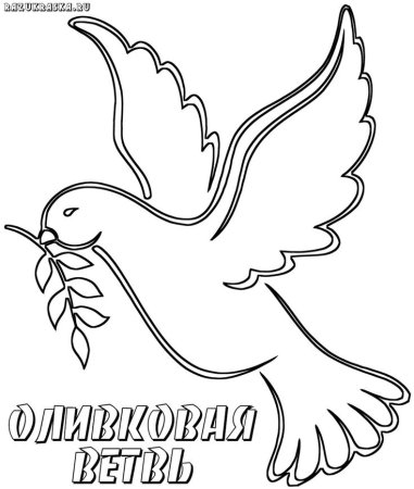 Голубь мира раскраска