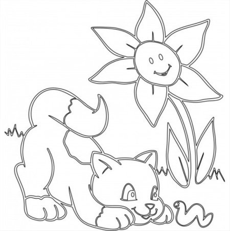 Раскраска "бабочки"