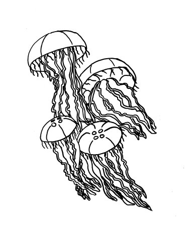 Медуза картинка