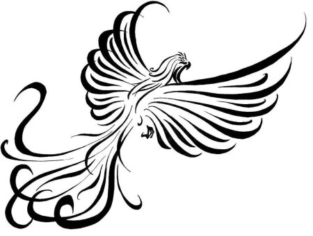 Жар птица контур