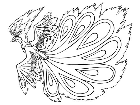 Сказочная птица раскраска
