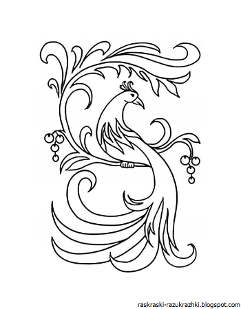 Жар птица раскраска