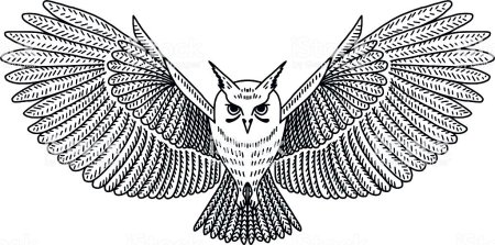 Контур Совы с расправленными крыльями