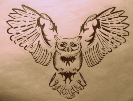 Сова с расправленными крыльями эскиз