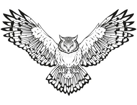 Набросок Совы с распахнутыми крыльями для детей