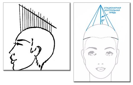 Силуэт волос