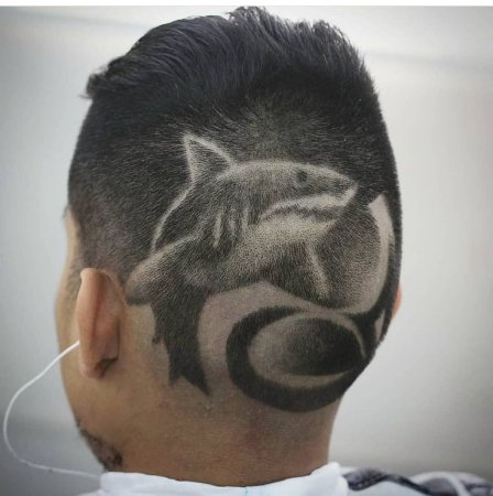 Акула на голове стрижка мужская