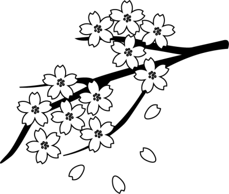 Ветка Сакуры раскраска для детей
