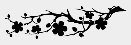 Ветка Сакуры