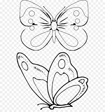 Трафареты бабочки