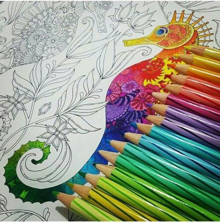 Раскрашивание цветными карандашами