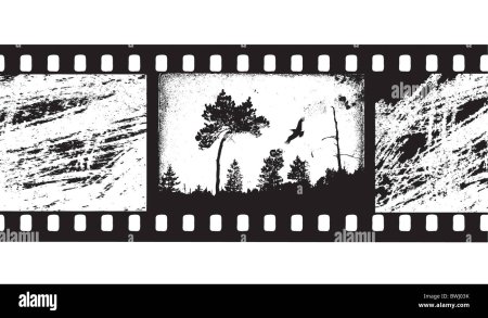 Рисовать фотопленку