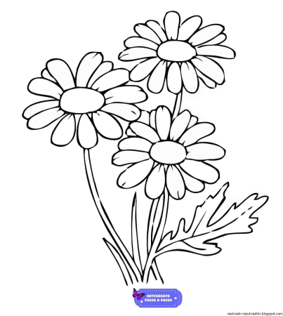 Ромашка раскраска