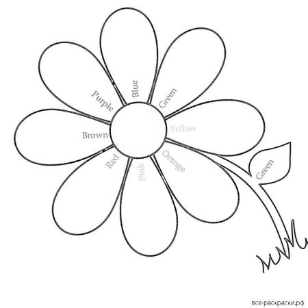 Ромашка раскраска