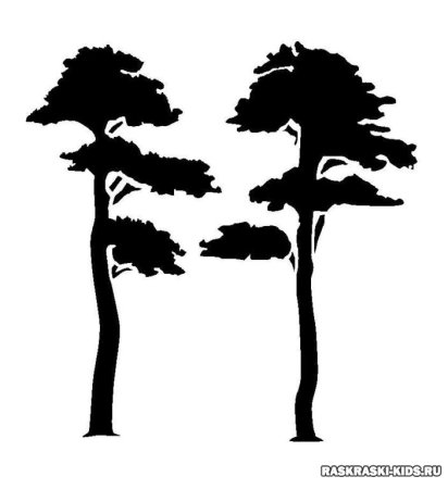 Зимний пейзаж раскраска