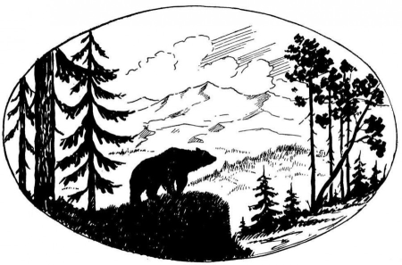 Дерево раскраска