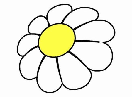 Трафарет ромашки