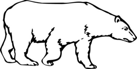 Белый медведь контур